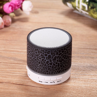 Wireless Bluetooth Portable Speaker